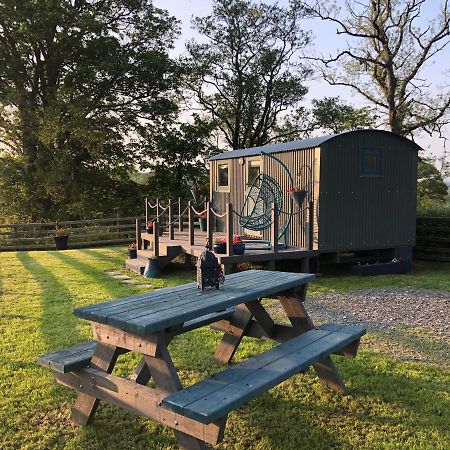 The Peacock Shepherds Hut At Hafoty Boeth コーウェン エクステリア 写真