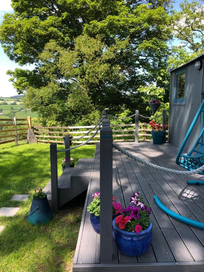 The Peacock Shepherds Hut At Hafoty Boeth コーウェン エクステリア 写真