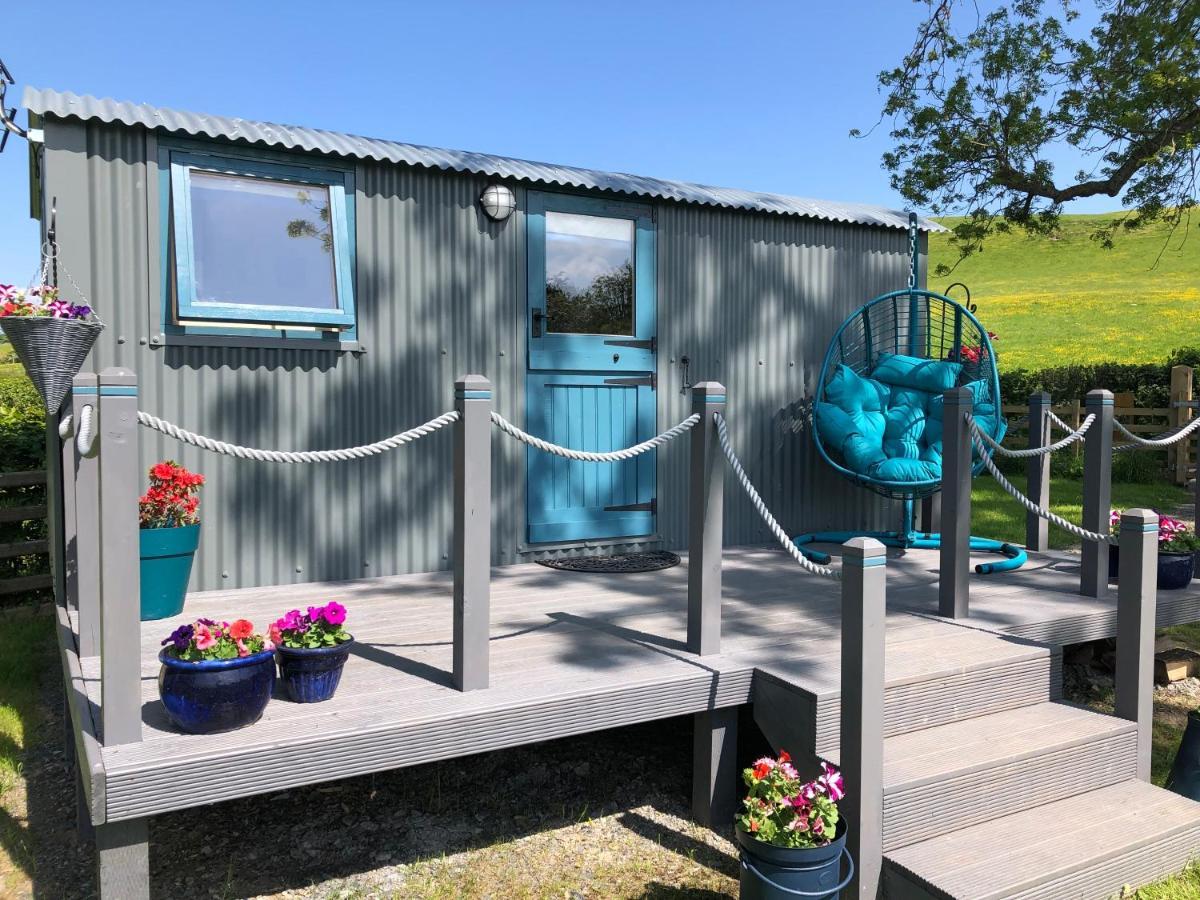 The Peacock Shepherds Hut At Hafoty Boeth コーウェン エクステリア 写真