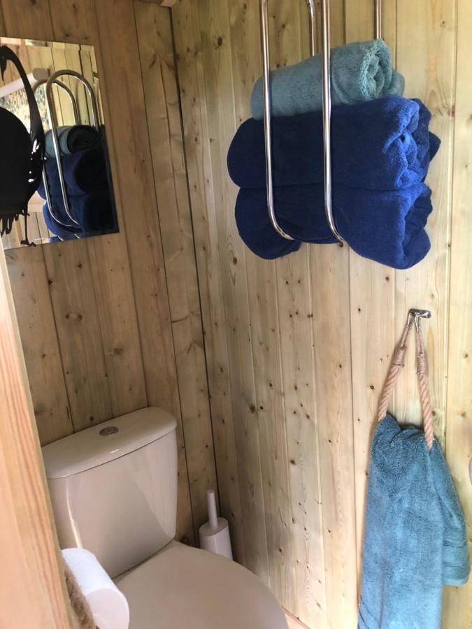 The Peacock Shepherds Hut At Hafoty Boeth コーウェン エクステリア 写真