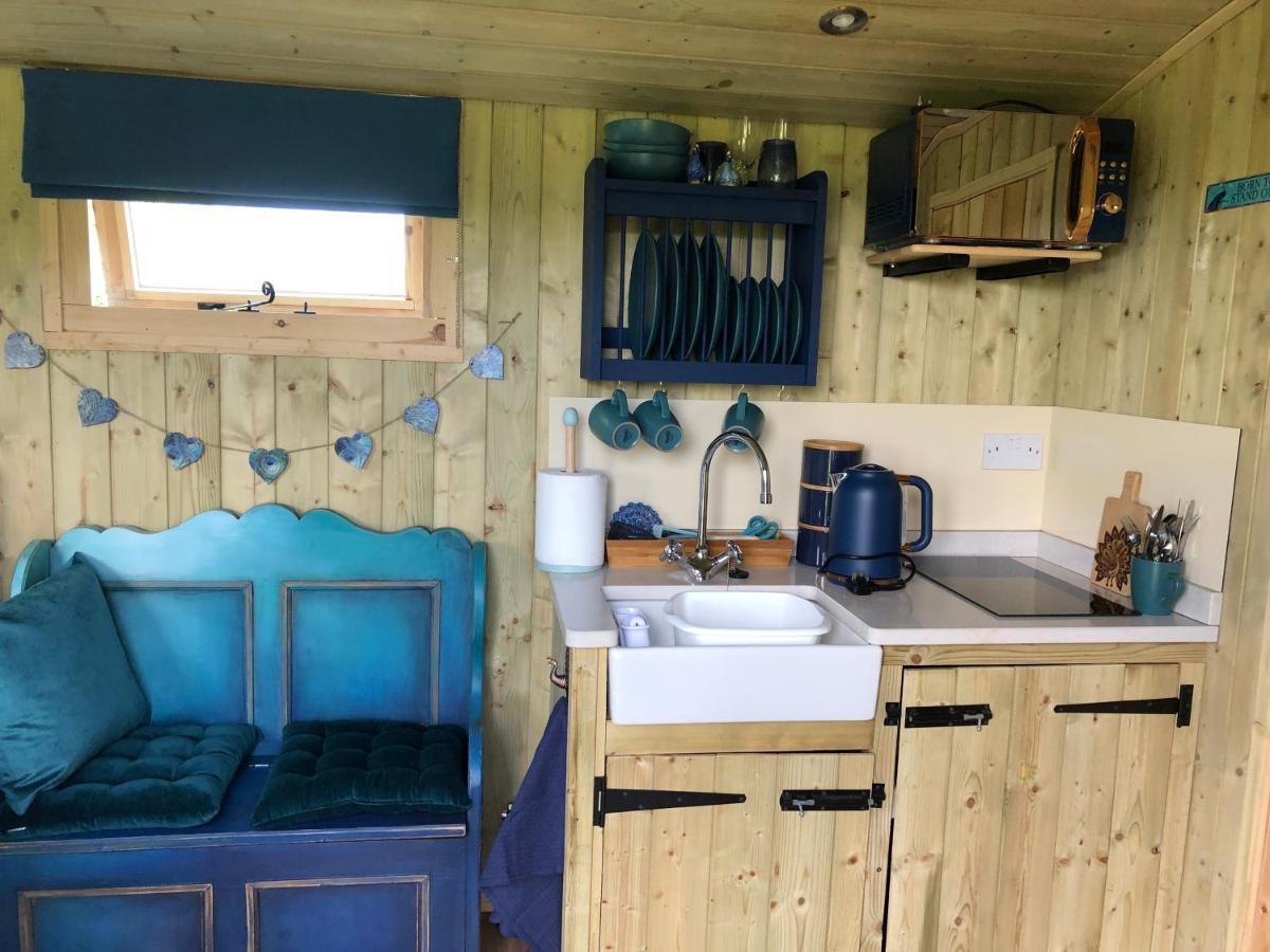 The Peacock Shepherds Hut At Hafoty Boeth コーウェン エクステリア 写真