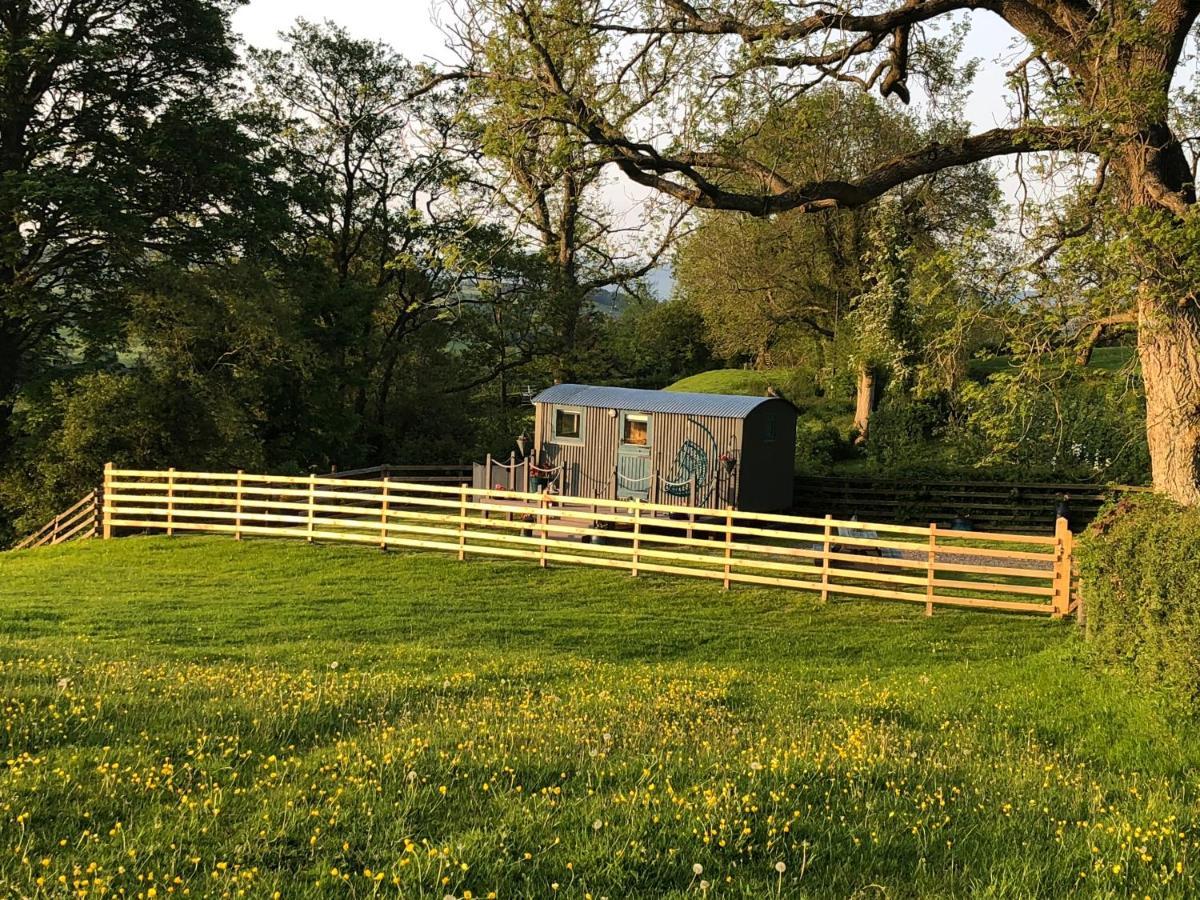 The Peacock Shepherds Hut At Hafoty Boeth コーウェン エクステリア 写真