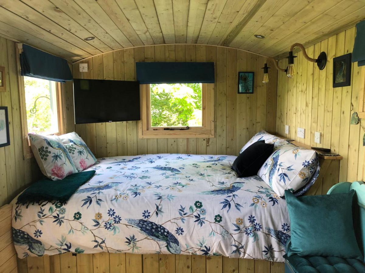 The Peacock Shepherds Hut At Hafoty Boeth コーウェン エクステリア 写真