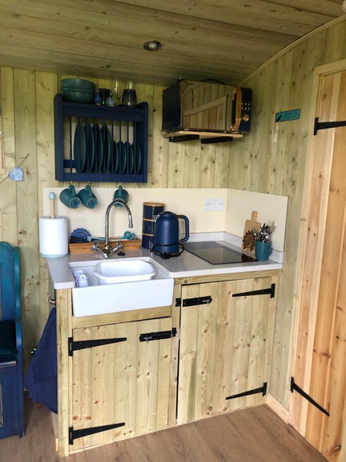 The Peacock Shepherds Hut At Hafoty Boeth コーウェン エクステリア 写真